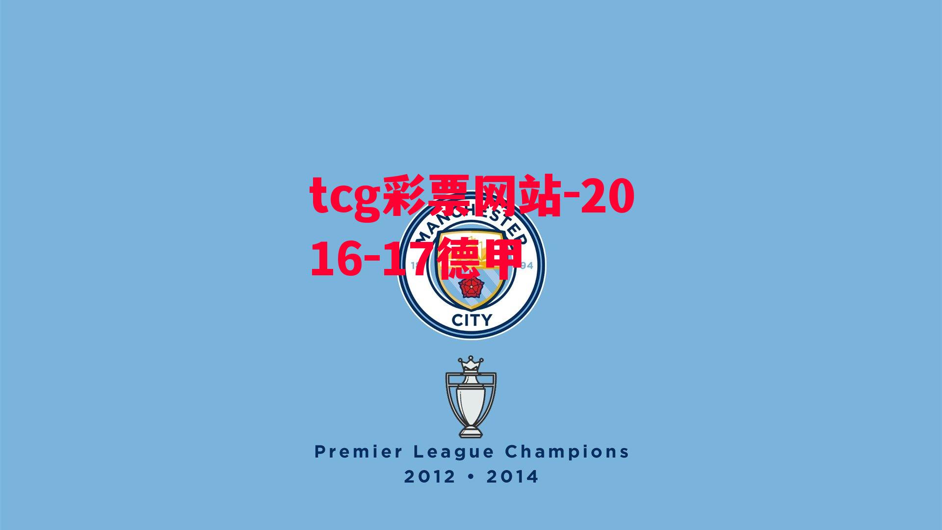 tcg彩票网站-2016-17德甲